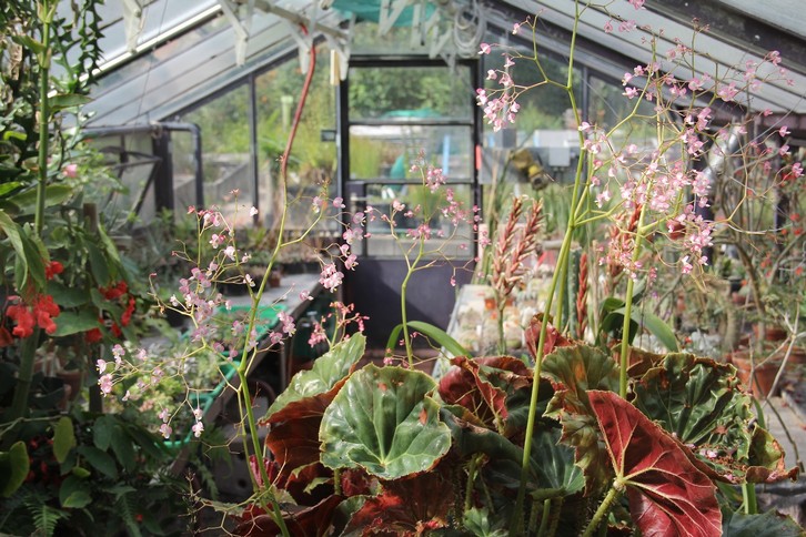 Botanischer Garten Erlangen 20 08 Topner De